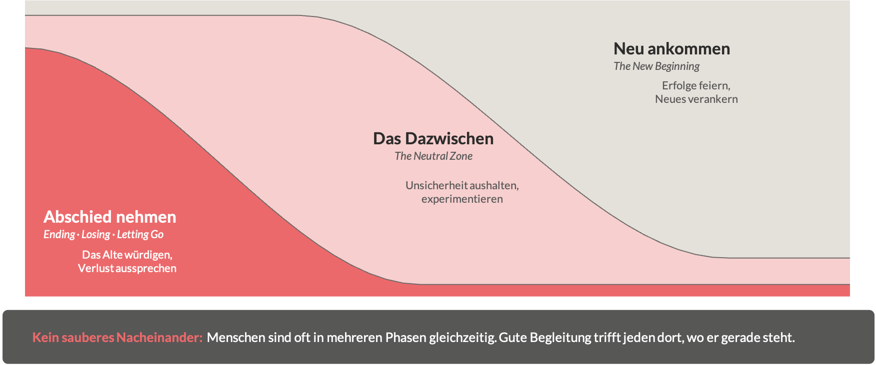 Veränderungskurve „Wandel, der trägt“ mit drei Phasen: Abschied nehmen (Ending · Losing · Letting Go — das Alte würdigen, Verlust aussprechen), Das Dazwischen (The Neutral Zone — Unsicherheit aushalten, experimentieren) und Neu ankommen (The New Beginning — Erfolge feiern, Neues verankern). Hinweis: kein sauberes Nacheinander — Menschen sind oft in mehreren Phasen gleichzeitig.